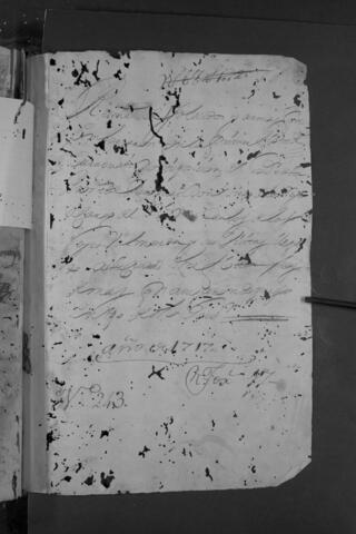 Open original Digital object